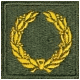 Distinguished Unit WWII