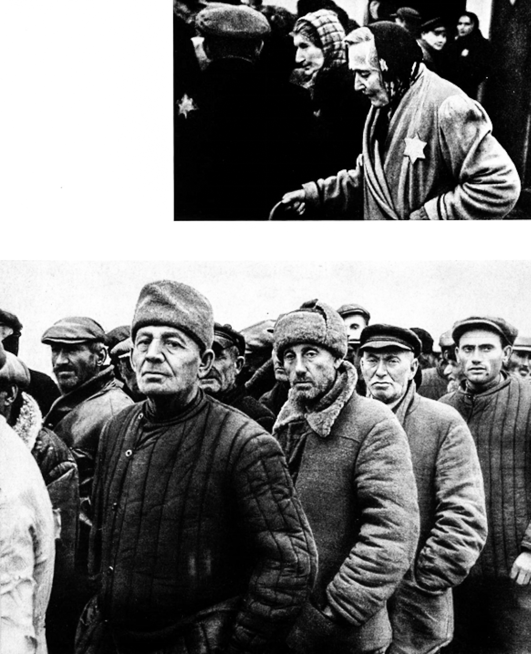 Russische boer