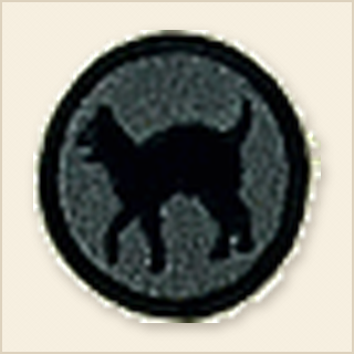 81st Division