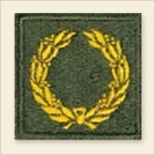 Distinguished Unit WWII