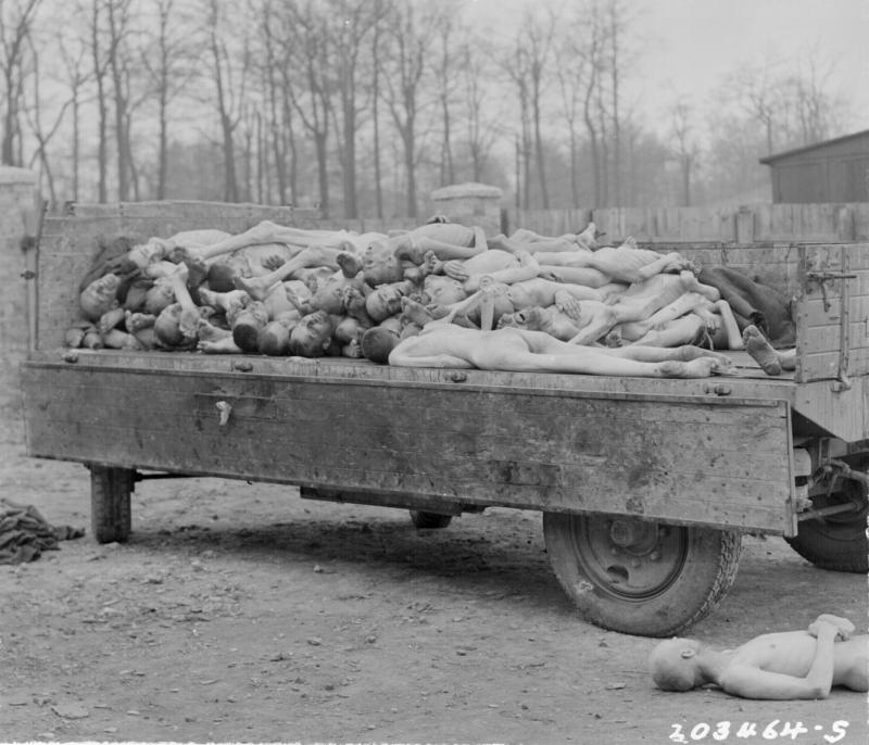 A truck load of bodies of prisoners of the Nazis