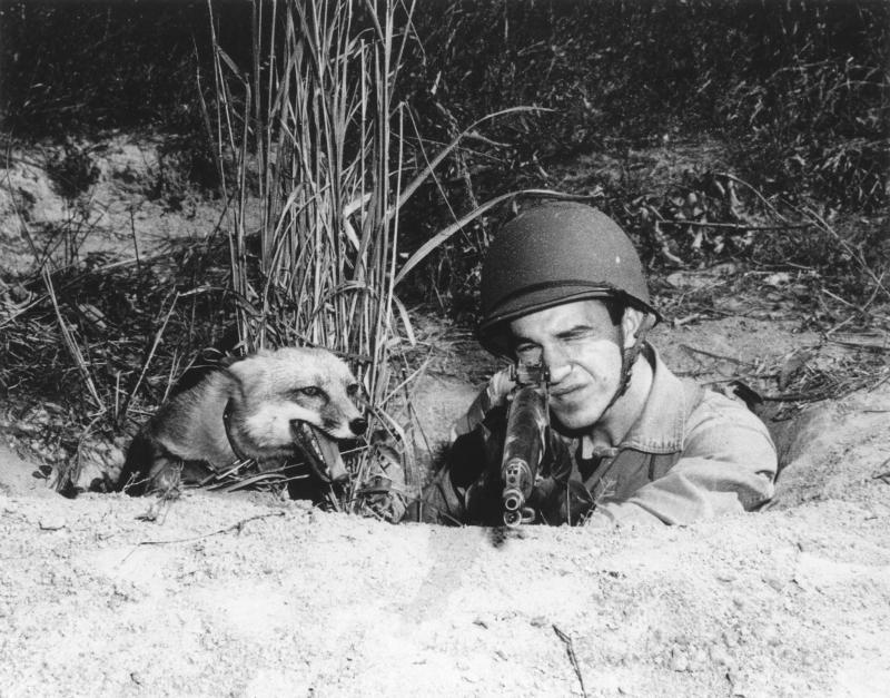 Private Harry Weber in exercise with his pet fox Rusty